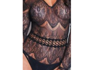 Daring Sheer lace long sleeve bodysuit